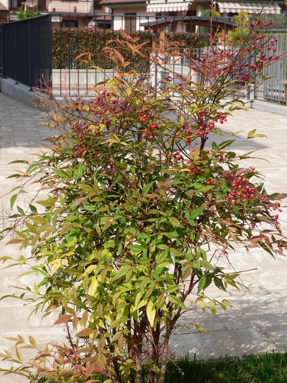 Giravento Bed & Breakfast Borgo San Dalmazzo Exterior foto